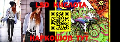 крисы Будённовск
