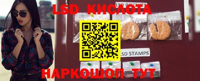 крисы Будённовск