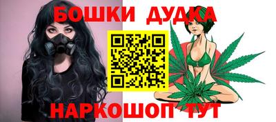 крисы Будённовск