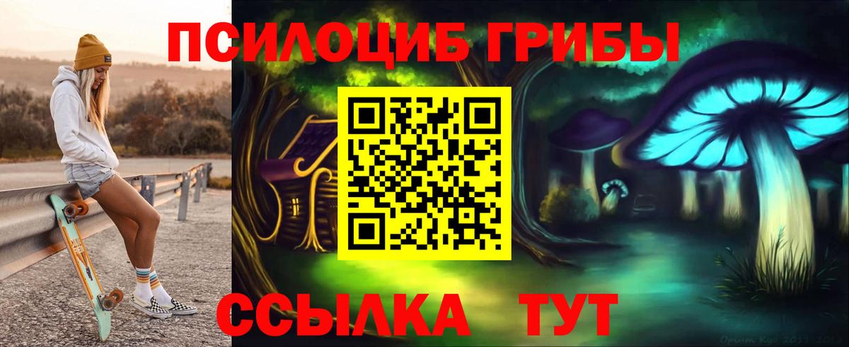 Галлюциногенные грибы ЛСД  Вход с VPN  где можно купить наркотик  Тара  Псилоцибиновые грибы MAGIC MUSHROOMS 