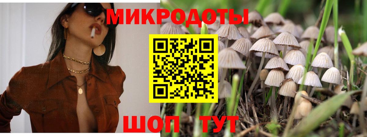 Псилоцибиновые грибы Psilocybe Тара